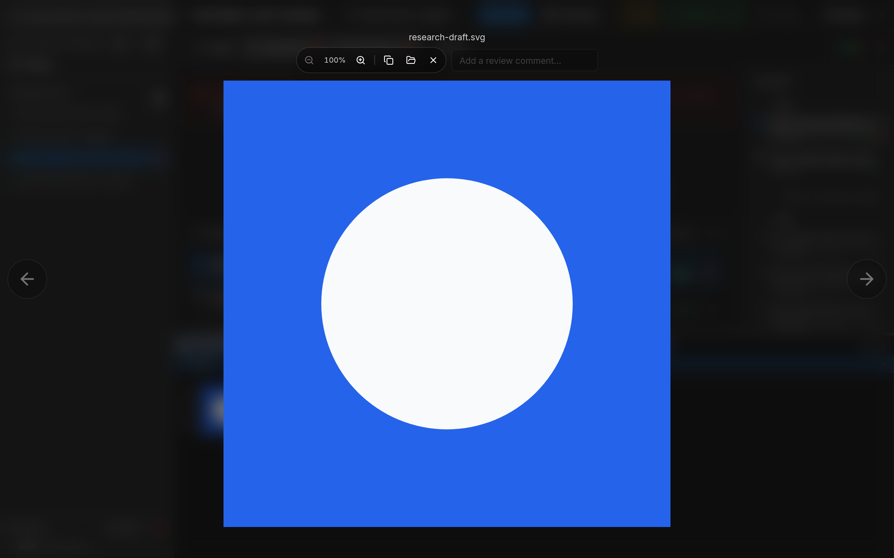 Asset lightbox open after clicking the thumbnail